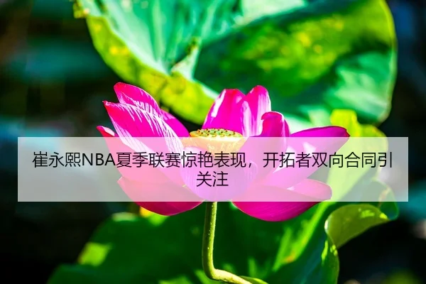 崔永熙NBA夏季联赛惊艳表现，开拓者双向合同引关注