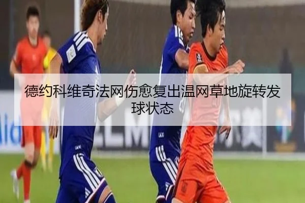 德约科维奇法网伤愈复出温网草地旋转发球状态