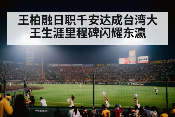baseball stadium night